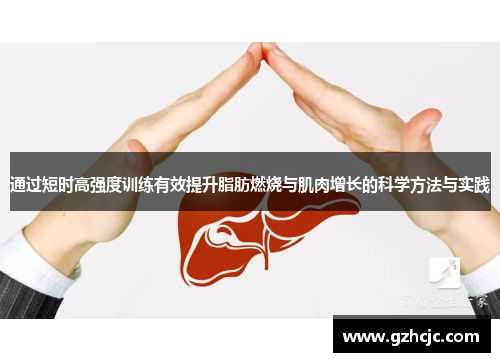 通过短时高强度训练有效提升脂肪燃烧与肌肉增长的科学方法与实践